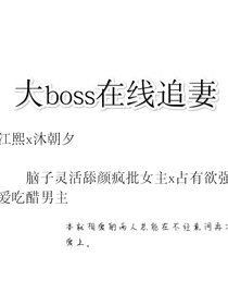大boss在线追妻