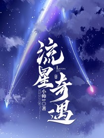 流星奇遇