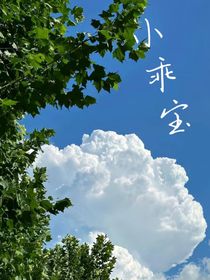 小乖宝
