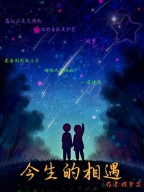 幻影忍者：今生的相遇
