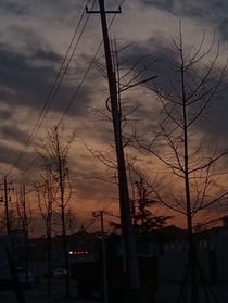 朝起潮落