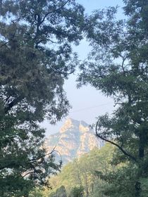 留在回忆里等你