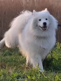 超感：異界時空