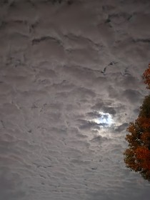 远山诉诉