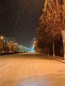 奇怪的冬路