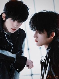 TF家族：戀愛(ài)不是小事