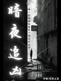 暗夜追凶