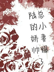 陆总的小娇妻帅爆了