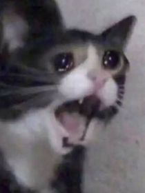 小破画罢了
