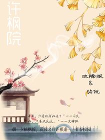 许枫院