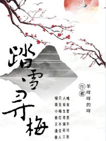 踏雪寻梅……
