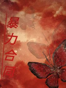 暴力合同