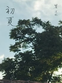 初夏盛開