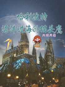 hp：漂洋過(guò)海的貓頭鷹