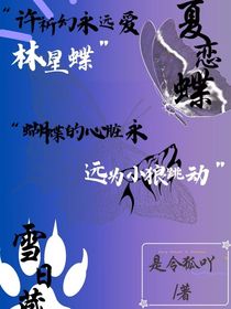 夏戀蝶，冬日藏