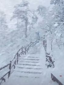 今朝若是同淋雪此生也算共白頭