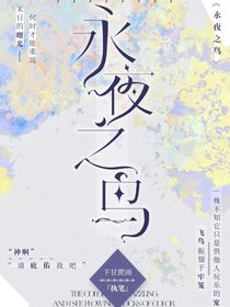 永夜之鸟