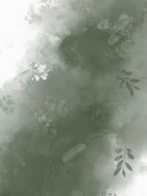 重生之我在小说当女主