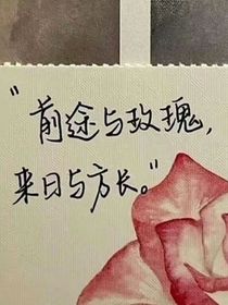 复仇遇上爱