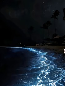 光明與隱夜