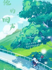 他的回声