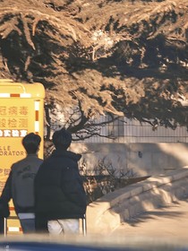 赠汪伦……