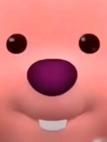 傻咪病