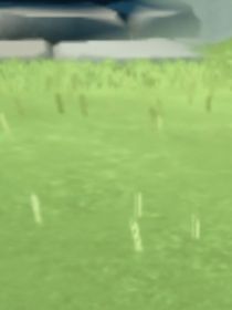 ？姐