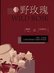 涵坤：野玫瑰