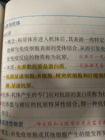 思无邪矣