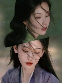 综影视之聊赠一枝春