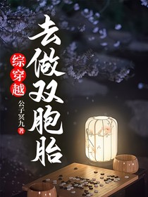 综穿越去做双胞胎