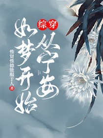 综穿：从宁安如梦开始