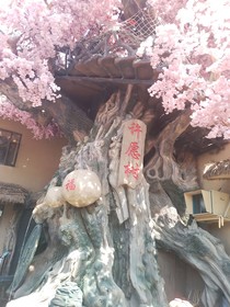 一些我oc的设定和预设身世等