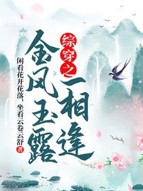 综穿之金风玉露一相逢