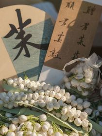 清然茉莉