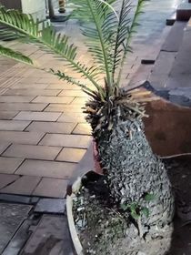 关于某个攻略游戏的有感