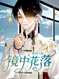 镜中花落