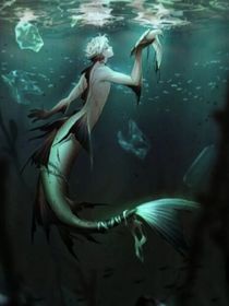 玫瑰花海的人鱼