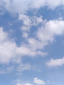 天氣芋報(bào)