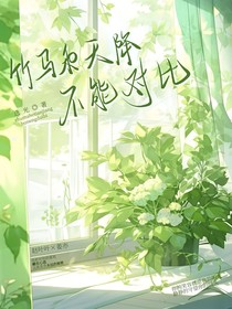竹马和天降不能对比