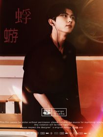 馬嘉祺：蜉蝣