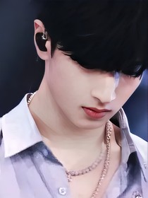 TNT：疏离-d503