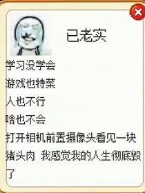 重生之我在mp当皇帝