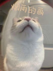 烟雨的画