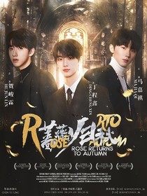 TNT：蔷薇归秋