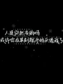 NPC玩家