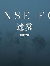 迷雾之重生后我认错了反派