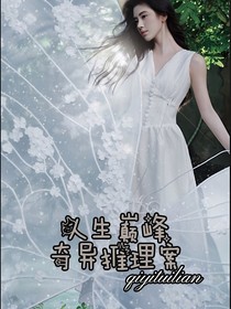 人生巅峰：奇异推理案