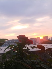 魔幻：阿别亚